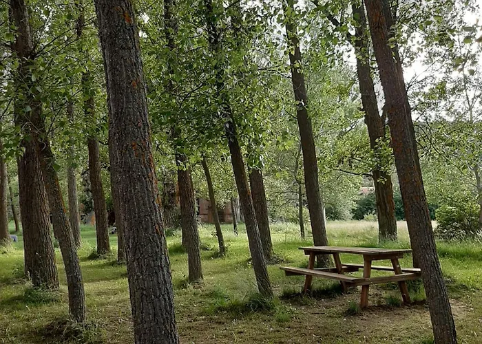 Apartamento La Montesa